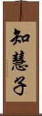知慧子 Scroll