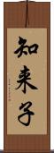 知来子 Scroll