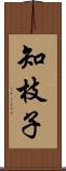 知枝子 Scroll