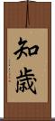 知歳 Scroll