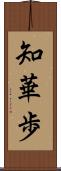 知華歩 Scroll