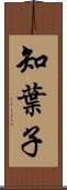 知葉子 Scroll