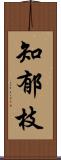 知郁枝 Scroll