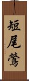短尾鶯 Scroll