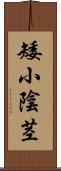 矮小陰茎 Scroll