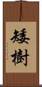 矮樹 Scroll