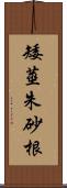 矮莖朱砂根 Scroll