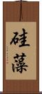 硅藻 Scroll