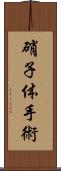 硝子体手術 Scroll