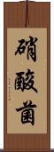 硝酸菌 Scroll