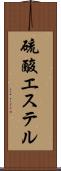 硫酸エステル Scroll