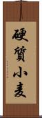 硬質小麦 Scroll