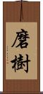 磨樹 Scroll