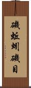磯蚯蚓 Scroll