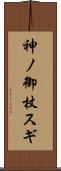 神ノ御杖スギ Scroll