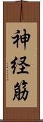 神経筋 Scroll
