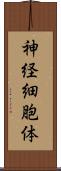 神経細胞体 Scroll