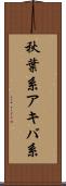 秋葉系 Scroll