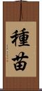 種苗 Scroll