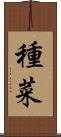 種菜 Scroll
