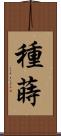種蒔 Scroll