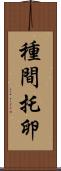 種間托卵 Scroll