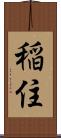 稲住 Scroll
