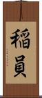 稲員 Scroll
