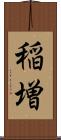 稲増 Scroll