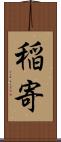 稲寄 Scroll