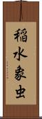 稲水象虫 Scroll