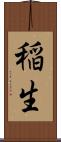 稲生 Scroll