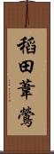 稻田葦鶯 Scroll