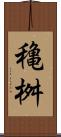穐桝 Scroll