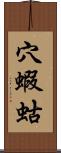 穴蝦蛄 Scroll