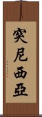 突尼西亞 Scroll