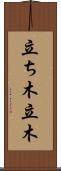 立ち木 Scroll