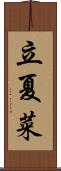 立夏菜 Scroll
