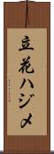 立花ハジメ Scroll