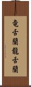 竜舌蘭 Scroll