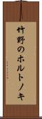 竹野のホルトノキ Scroll