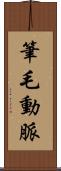 筆毛動脈 Scroll