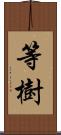 等樹 Scroll