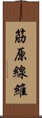 筋原線維 Scroll