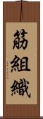 筋組織 Scroll