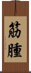 筋腫 Scroll