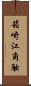 箱崎江角触 Scroll