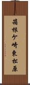 箱根ケ崎東松原 Scroll