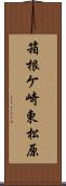 箱根ケ崎東松原 Scroll