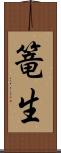 篭生 Scroll